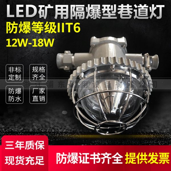 LED矿用隔爆型巷道灯-防爆等级IIT6-12W-18W