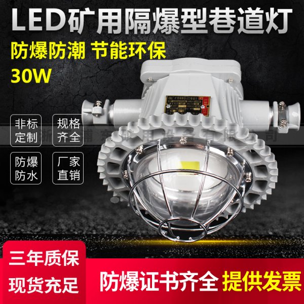 LED礦用隔爆型巷道燈-防爆防潮,節能環保-30W
