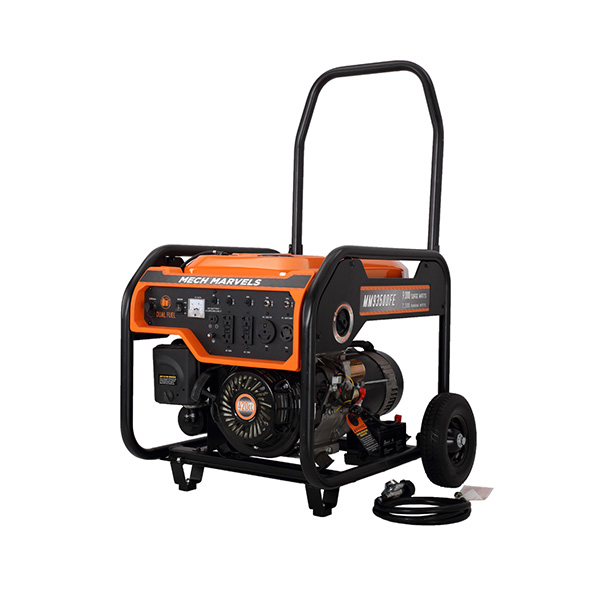 dual fuel portable generator with electric start