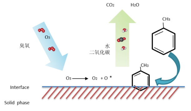 臭氧催化氧化示意圖.png