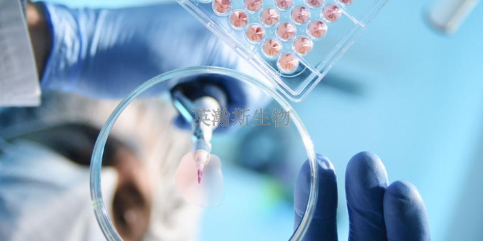 江苏推荐的细胞实验外包检测,细胞实验外包