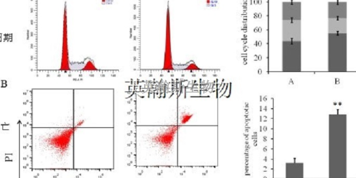 黑龙江哪家做细胞实验外包服务,细胞实验外包