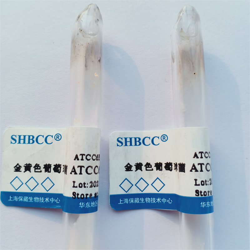 上海ATCC6538菌种金属片厂家供货,金黄色葡萄球