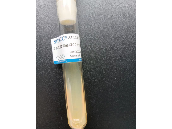 合肥ATCC6538菌种涂布价格,金黄色葡萄球