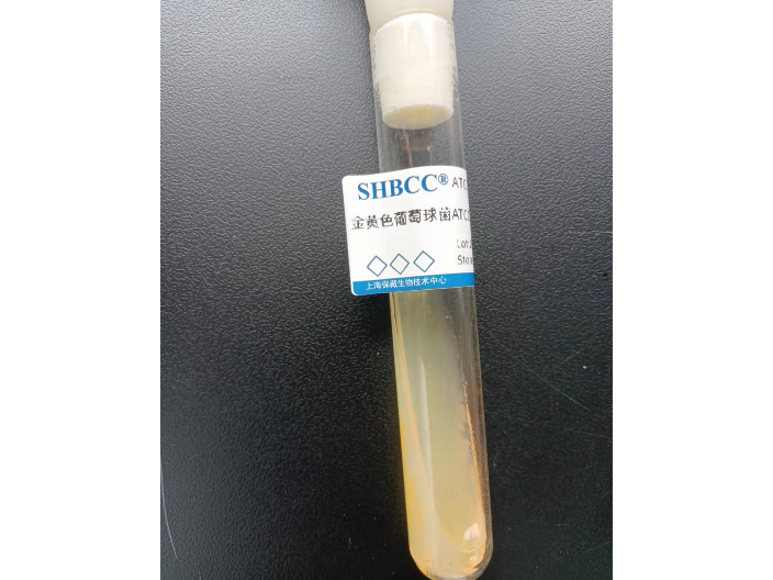 安徽ATCC6538定量菌液价位