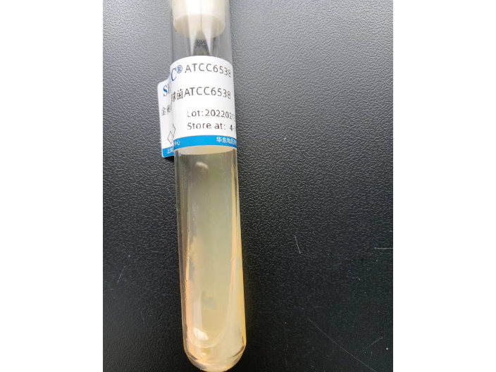 杭州ATCC6538定量菌液,金黄色葡萄球