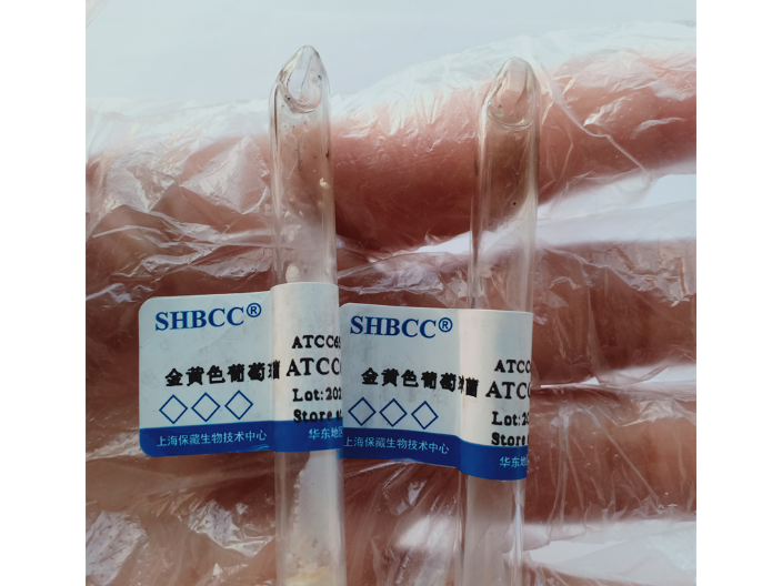杭州ATCC6538菌种金属片现货