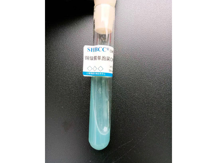 安徽CMCC(B)10104供应费用,铜绿假单胞菌