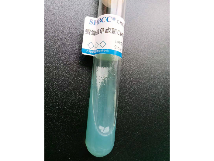 安徽CMCC(B)10104供应费用,铜绿假单胞菌