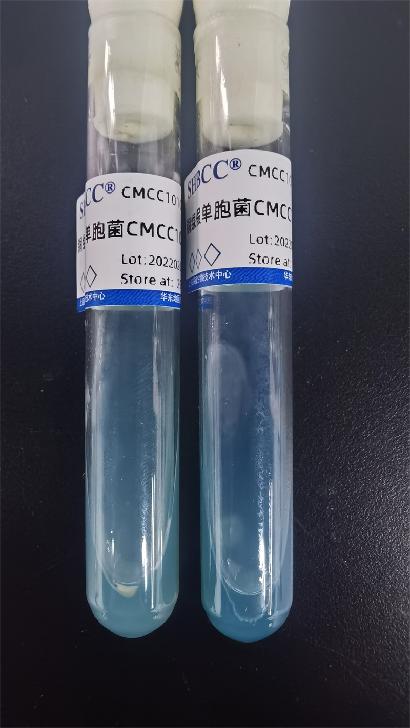 南京CMCC(B)10104甘油菌报价,铜绿假单胞菌
