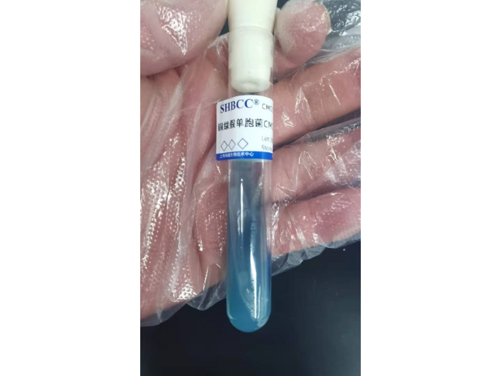南京CMCC(B)10104甘油菌报价,铜绿假单胞菌