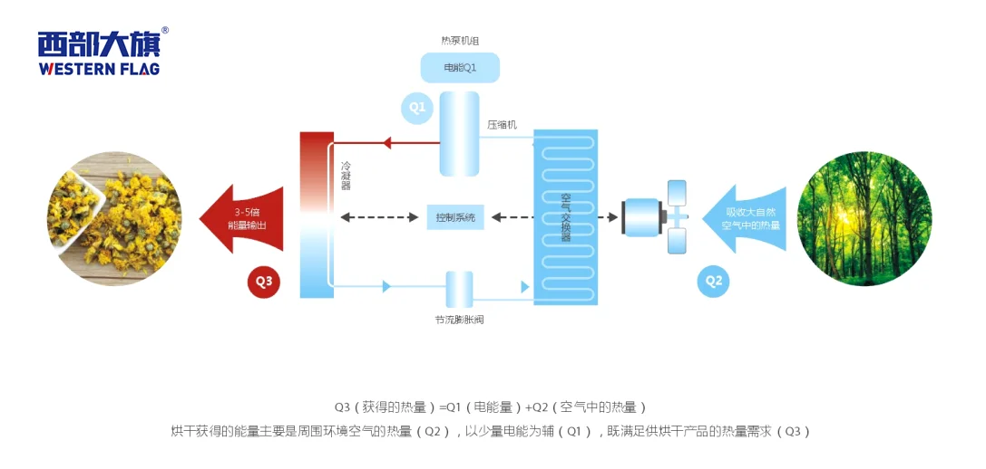 西部大旗金丝皇菊烘干房原理