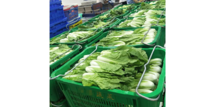 荆州美味蔬菜配送价格多少