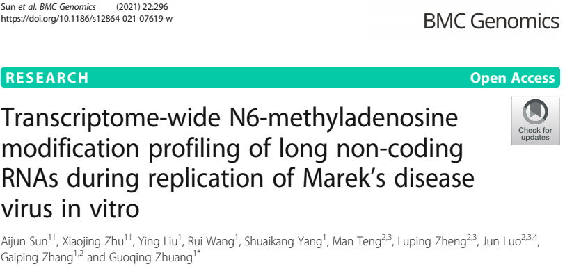 文章2.鸡脂肪组织中m6A修饰谱