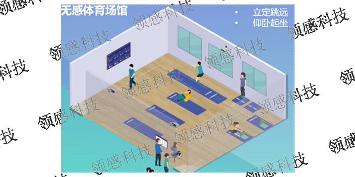 上海智能立定跳远供应商 推荐咨询 上海领感科技供应