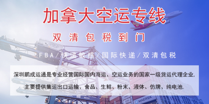 鸭肠怎么出口运输到迪拜 客户至上 深圳市鹏成运通国际物流供应