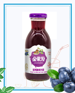 260mL發酵藍莓酵素飲料