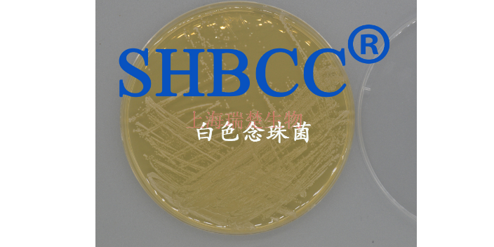 哈氏弧菌 欢迎咨询 上海瑞楚生物科技供应