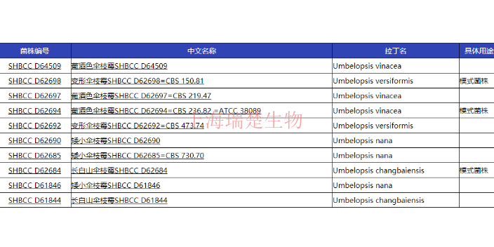 爪哇棒束孢菌株