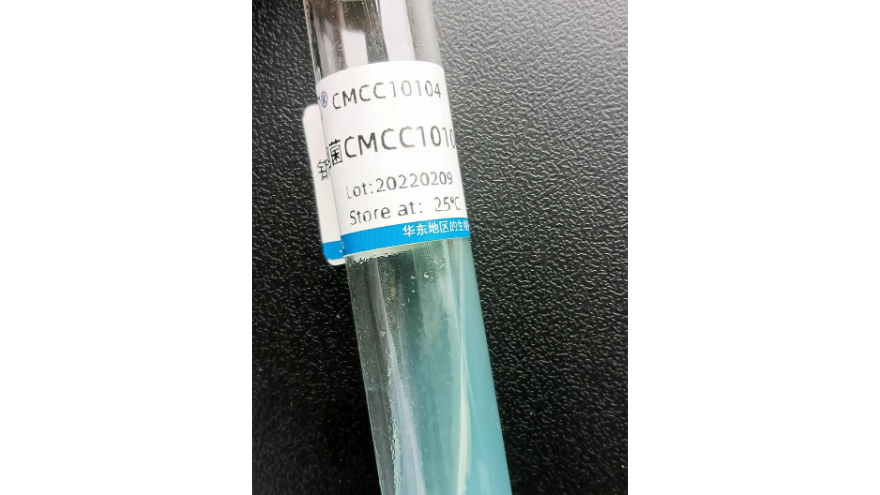茸毛褐褶菌菌種 上海瑞楚生物科技供應(yīng)