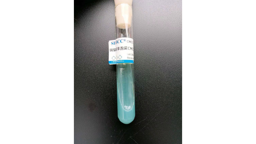 FTQC0201菌落总数质控样品菌种 欢迎咨询 上海瑞楚生物科技供应