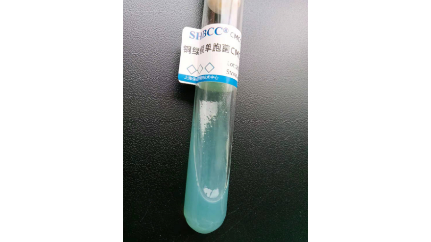 蚕豆根瘤菌 欢迎咨询 上海瑞楚生物科技供应