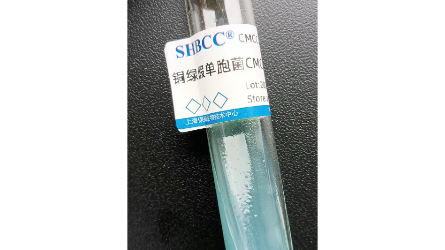 瓦尔假丝酵母菌株 欢迎咨询 上海瑞楚生物科技供应