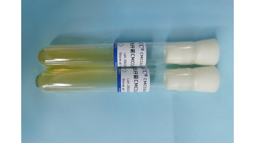皮特不動桿菌菌株 上海瑞楚生物科技供應
