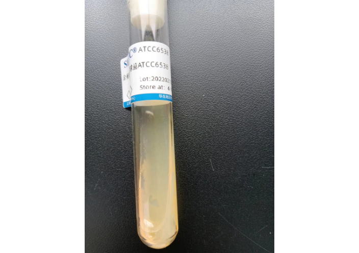 檸檬假交替單胞菌菌株 上海瑞楚生物科技供應