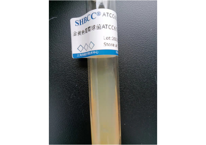 黄色海假单胞菌 欢迎来电 上海瑞楚生物科技供应