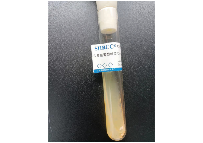 海南小雙孢菌 歡迎來電 上海瑞楚生物科技供應