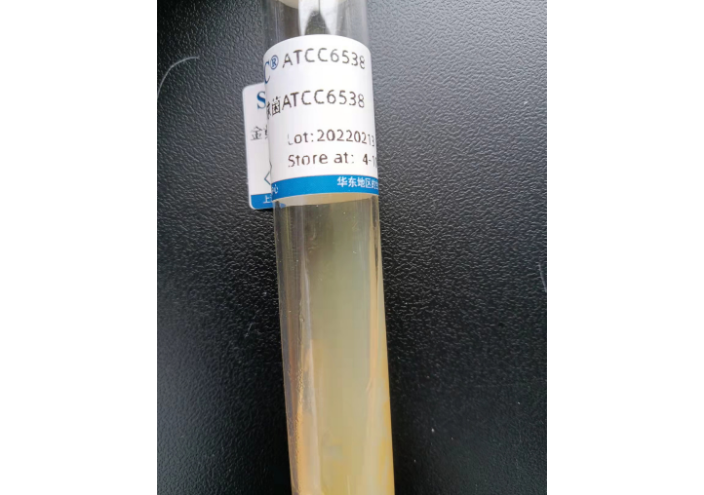 褐黄木耳琥珀木耳菌种 欢迎咨询 上海瑞楚生物科技供应