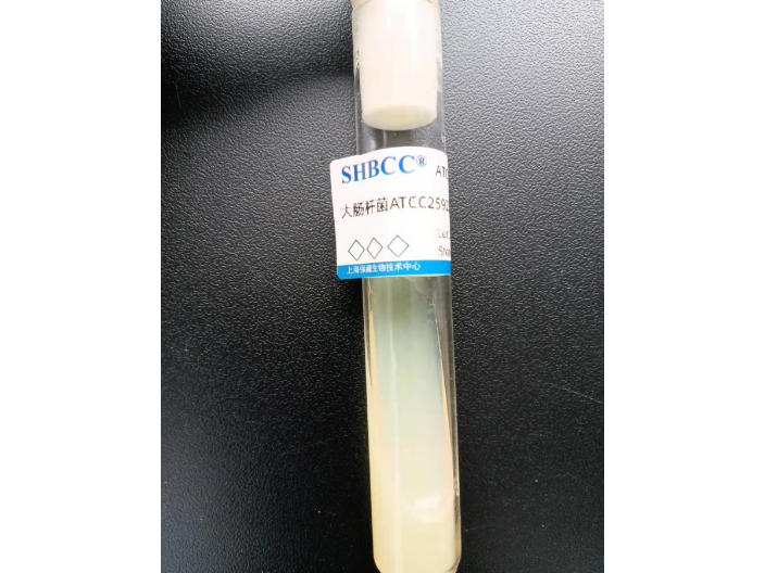 松生層孔菌菌種 上海瑞楚生物科技供應(yīng)