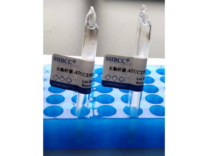 灰色鏈霉菌菌株 上海瑞楚生物科技供應(yīng)