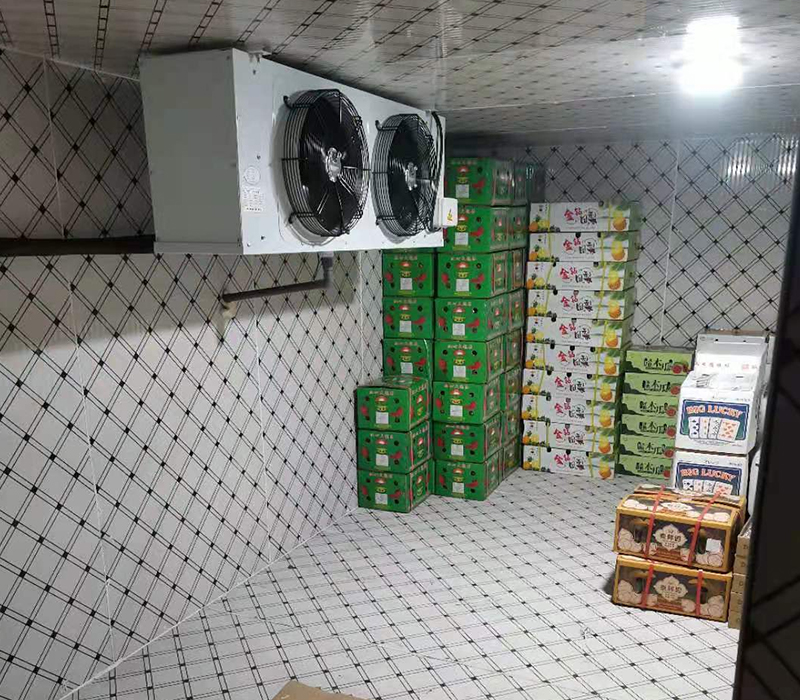 蔬菜水果保鲜库安装-牛羊猪肉冷冻库-冷藏库报价-冷冻机组/冷水机组