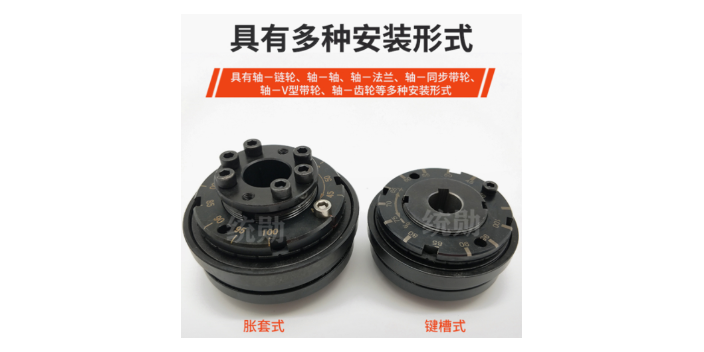 項目扭力限制器供應商,扭力限制器