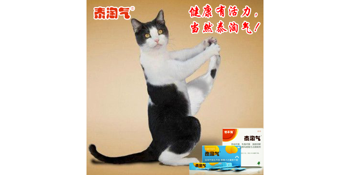 小貓寵物益生菌哪個品牌好 恒豐強泰淘氣供應