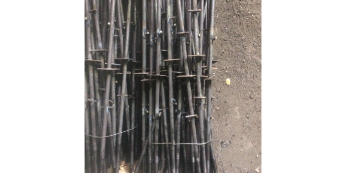 貴州螺母三段式止水螺桿價格多少 貴州省林城盛泰商貿供應
