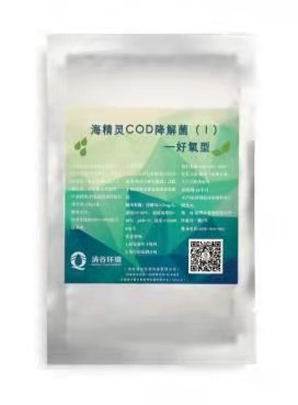 海精靈COD降解菌（I）——好氧型