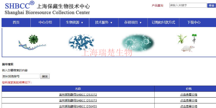 洛斯里被毛孢菌株 欢迎来电 上海瑞楚生物科技供应