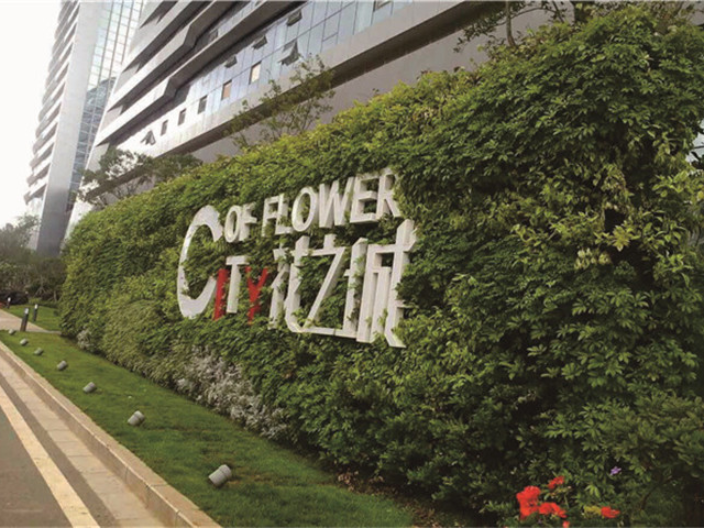 深圳简约植物墙设计,植物墙