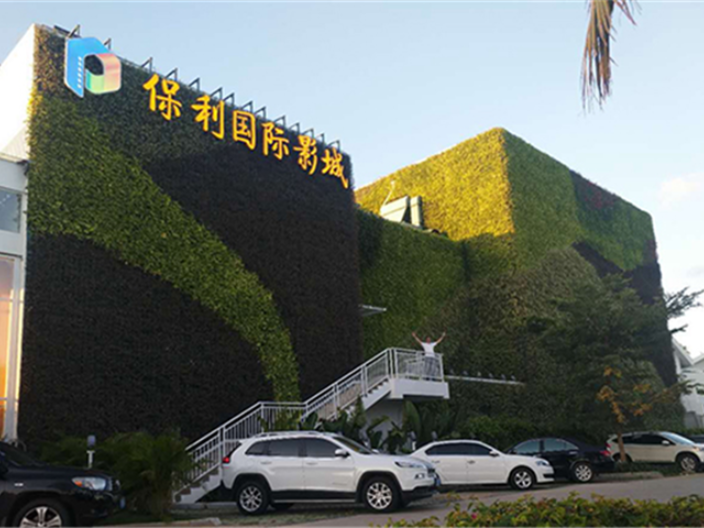 上海体育馆植物墙背景,植物墙