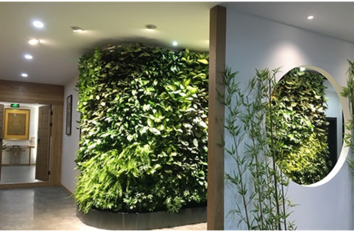 深圳简约植物墙设计,植物墙