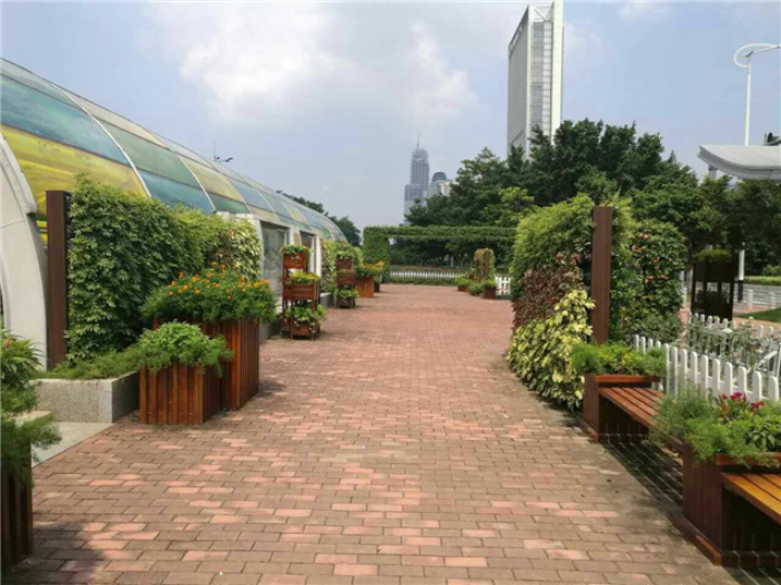 福建城市景觀立體綠化植物