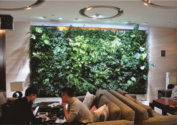 上海棚架垂直綠化設計