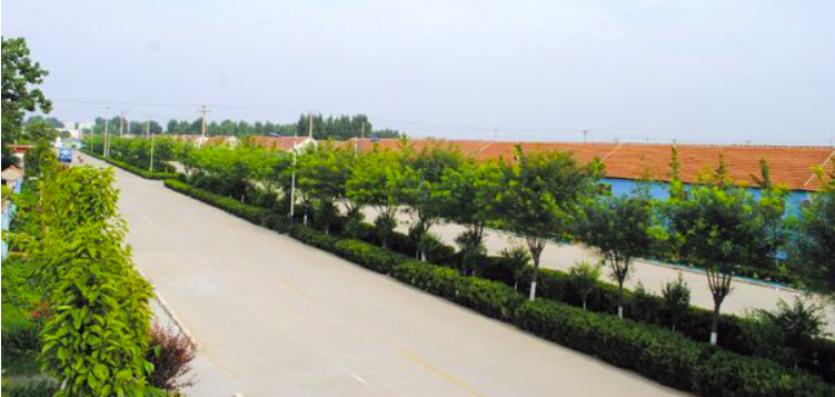 淄博環(huán)衛(wèi)公司項(xiàng)目