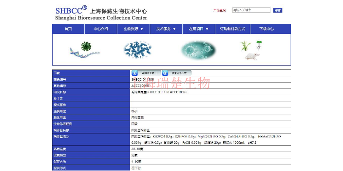 清酒酵母菌种