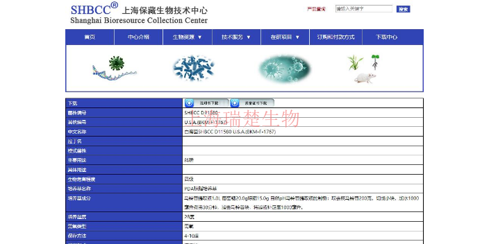 鲇爱德华氏菌 欢迎来电 上海瑞楚生物科技供应