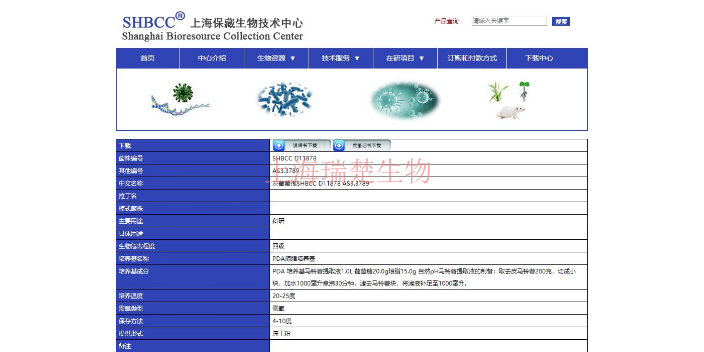 印度洋链霉菌菌种