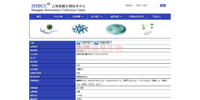 束状刺盘孢菌种